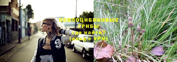 эйфоретик Арсеньев